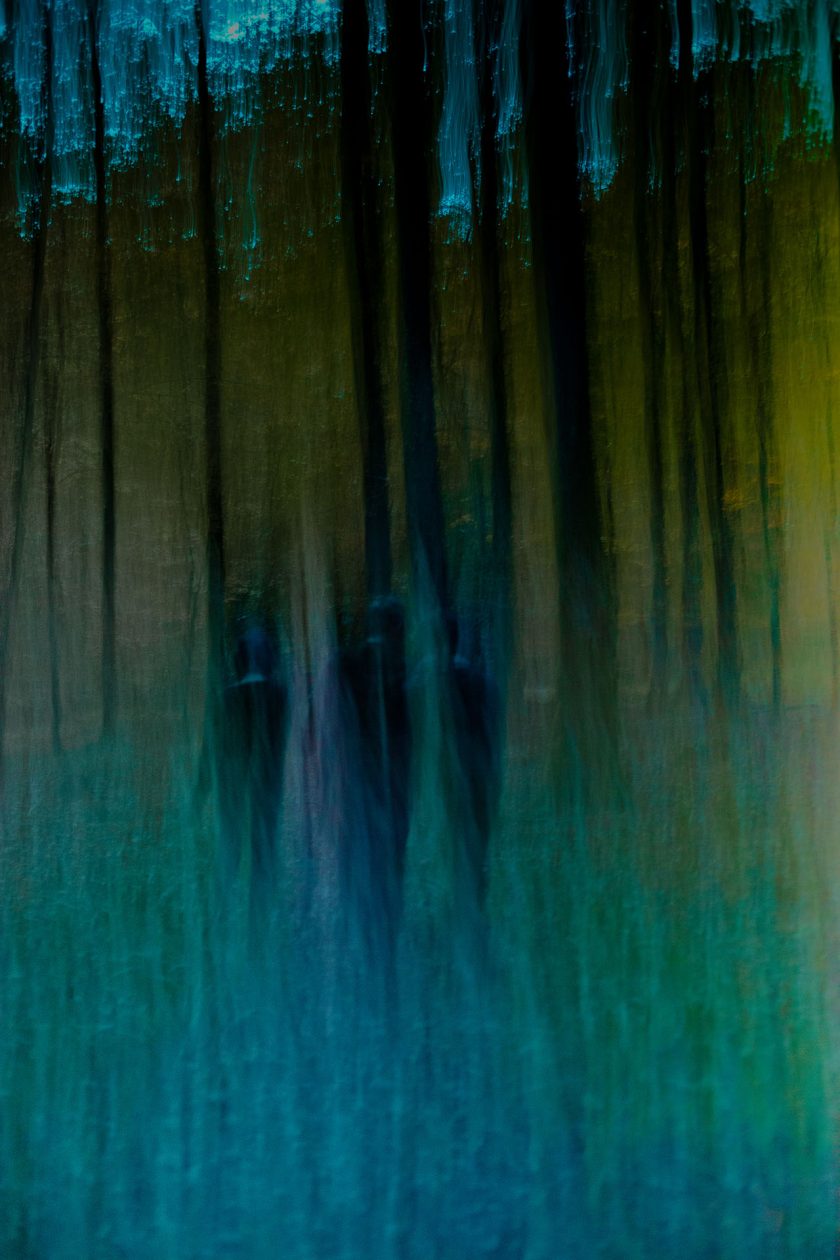 2014_10 Ballade en Forêt Bleue